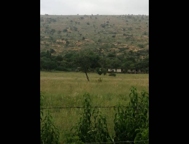 FARM FOR SALE IN DE WILDT